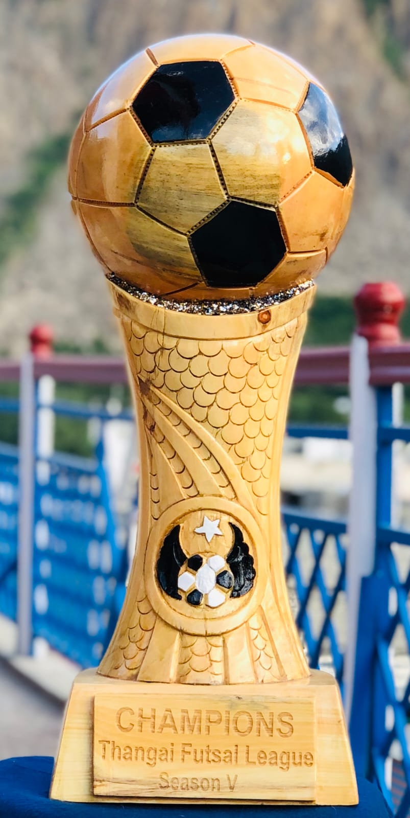 Custom Engraved Futsal & Soccer Championship Award